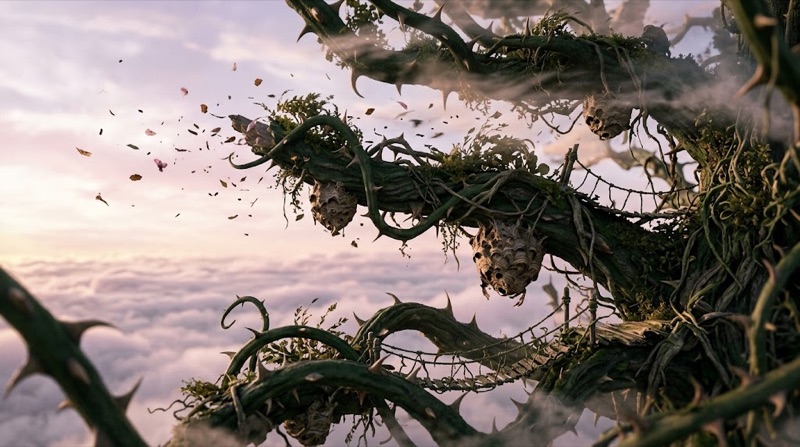 Thorny branches above the clouds at sunrise
